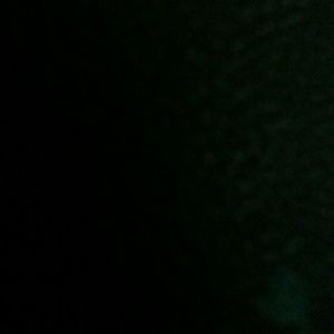 Meet your Posher, Eva