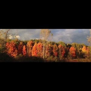 Meet your Posher, Kerri