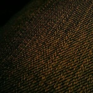 Meet your Posher, Shaun