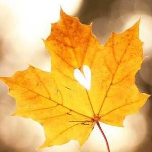 Meet your Posher, Jean