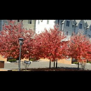 Meet your Posher, Shan