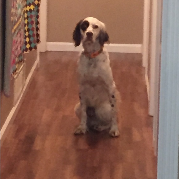 Meet your Posher, Amy - Picture 1 of 1