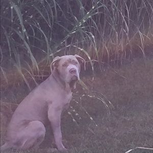 Meet your Posher, Sonia