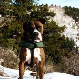 Meet your Posher, Autumn