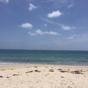 Meet your Posher, Connie