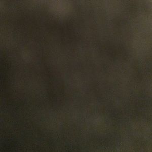 Meet your Posher, Jeannine