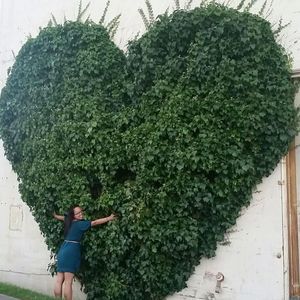 Meet your Posher, Wei-jen