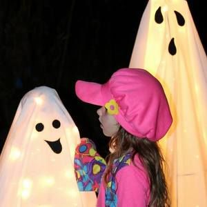 Meet your Posher, Robin