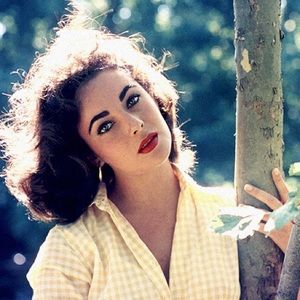 Meet your Posher, Jackson