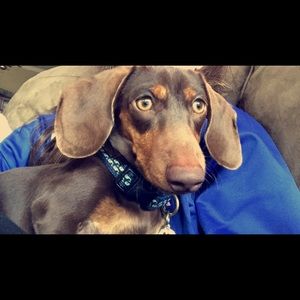 Meet your Posher, Alexa