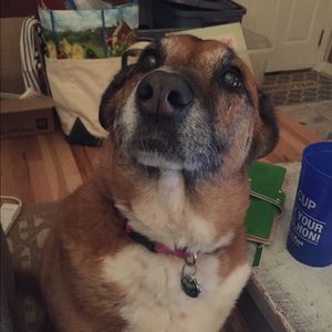 Meet your Posher, Kristen