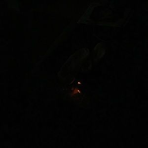 Meet your Posher, Tania