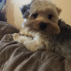 Meet your Posher, Stacy