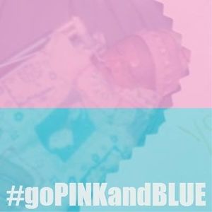 Meet your Posher, Ginger