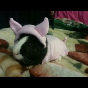 Meet your Posher, Heather