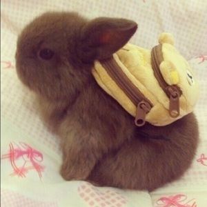 Meet your Posher, Jenny