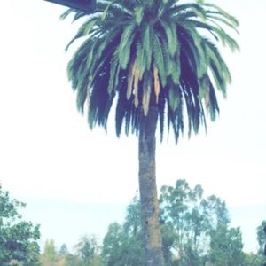 Meet your Posher, Ariyana