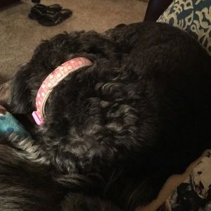 Meet your Posher, Karla