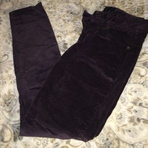 Banana Republic dark purple veletish/cotton pants