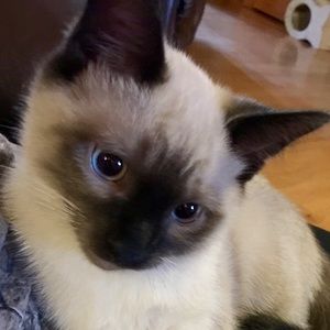 Meet your Posher, Wendy