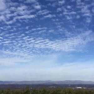 Meet your Posher, Gail