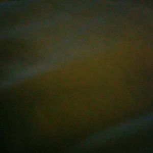 Meet your Posher, Tonya