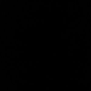 Meet your Posher, Sheree