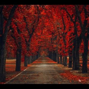 Meet your Posher, Cassie