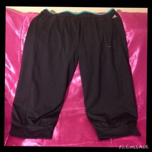 Adidas Workout Pants