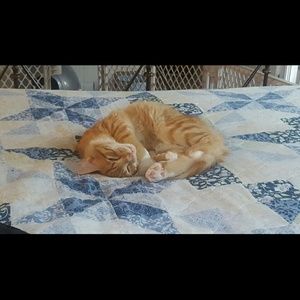 Meet your Posher, Jan