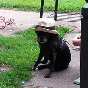 Meet your Posher, Tiffany