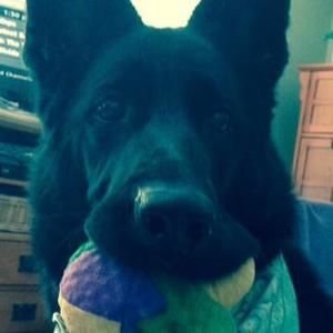 Meet your Posher, Liz