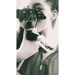 Meet your Posher, Tavia