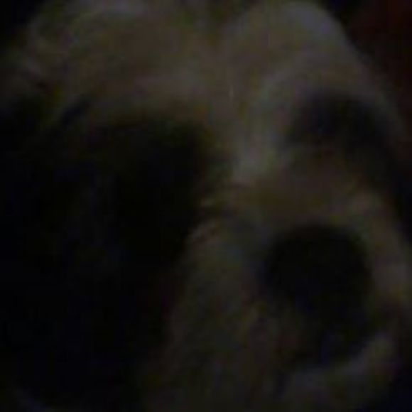 Meet your Posher, Dawn - Picture 1 of 1