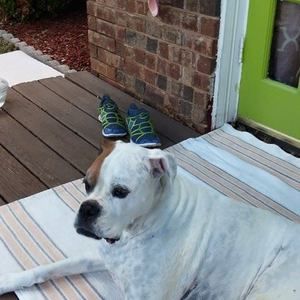 Meet your Posher, Tammy