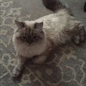 Meet your Posher, Ashley