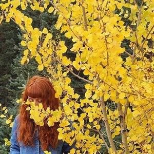 Meet your Posher, Ariana