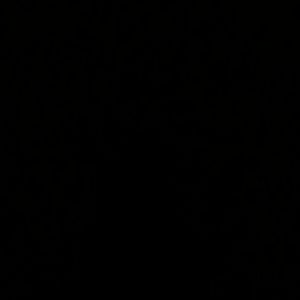 Meet your Posher, Tamara