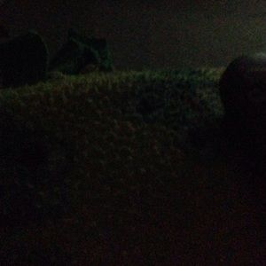 Meet your Posher, Veronica