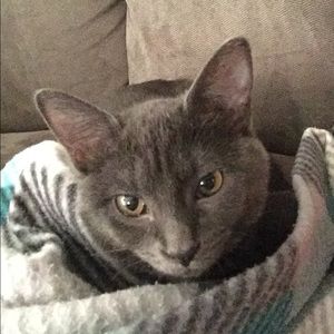 Meet your Posher, Mandy