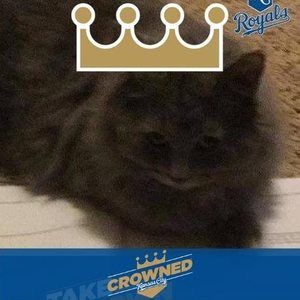 Meet your Posher, Kaitlin