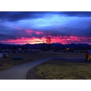 Meet your Posher, Faith