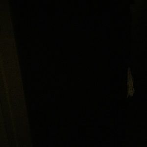 Meet your Posher, Norma