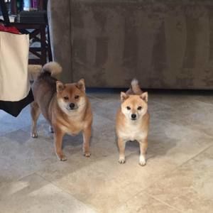 Meet your Posher, Kathy