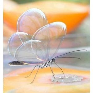 Meet your Posher, Melanie