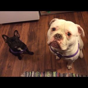 Meet your Posher, Jen