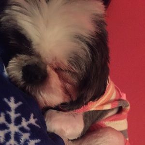 Meet your Posher, Caylan