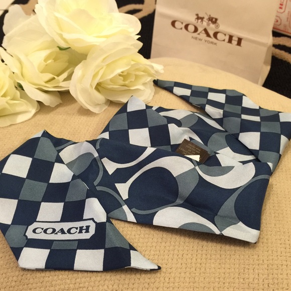 Coach Accessories - Coach Peyton Dream C Ponytail Scarf (Silk)