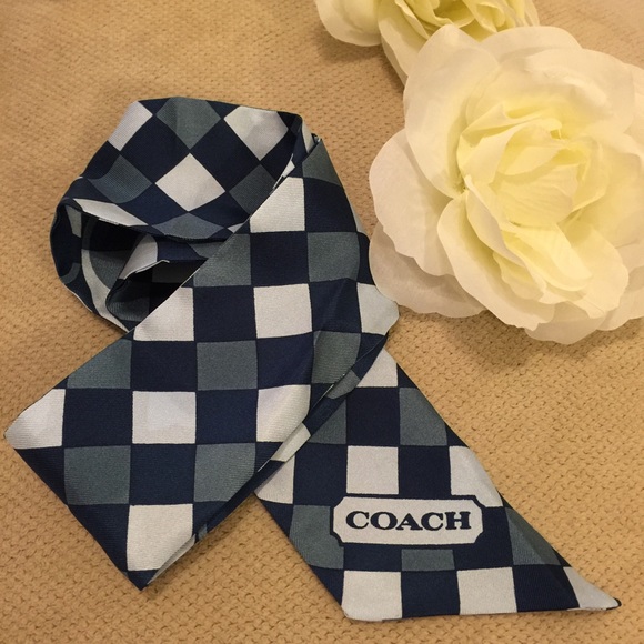 Coach Peyton Dream C Ponytail Scarf (Silk) - Picture 2 of 4