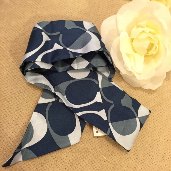 Coach Peyton Dream C Ponytail Scarf (Silk) - Picture 3 of 4